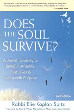 Does the Soul Survive? 2nd Edition A Jewish Journey to Belief in Afterlife